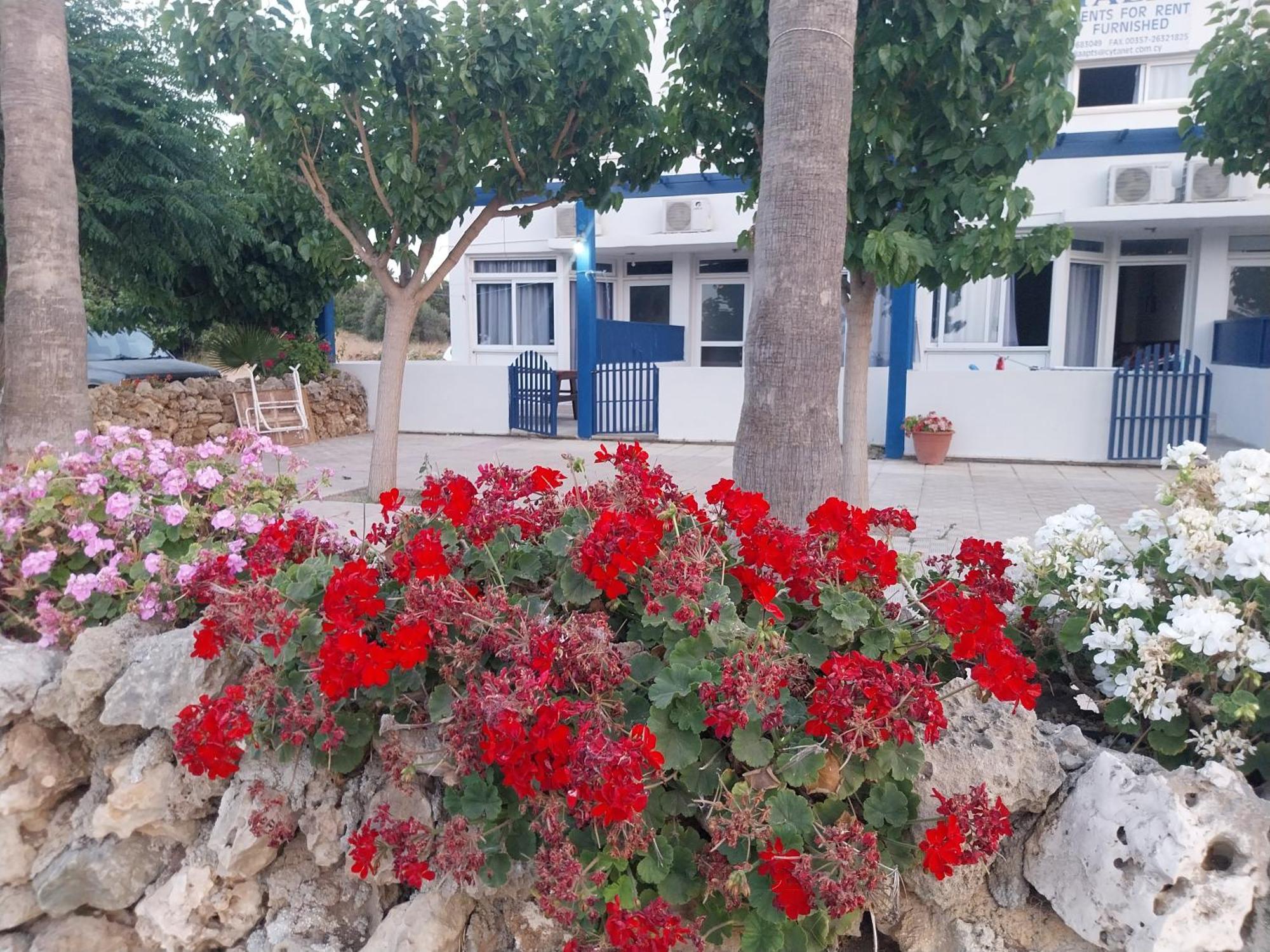 Polis Amalia Apartments חדר תמונה
